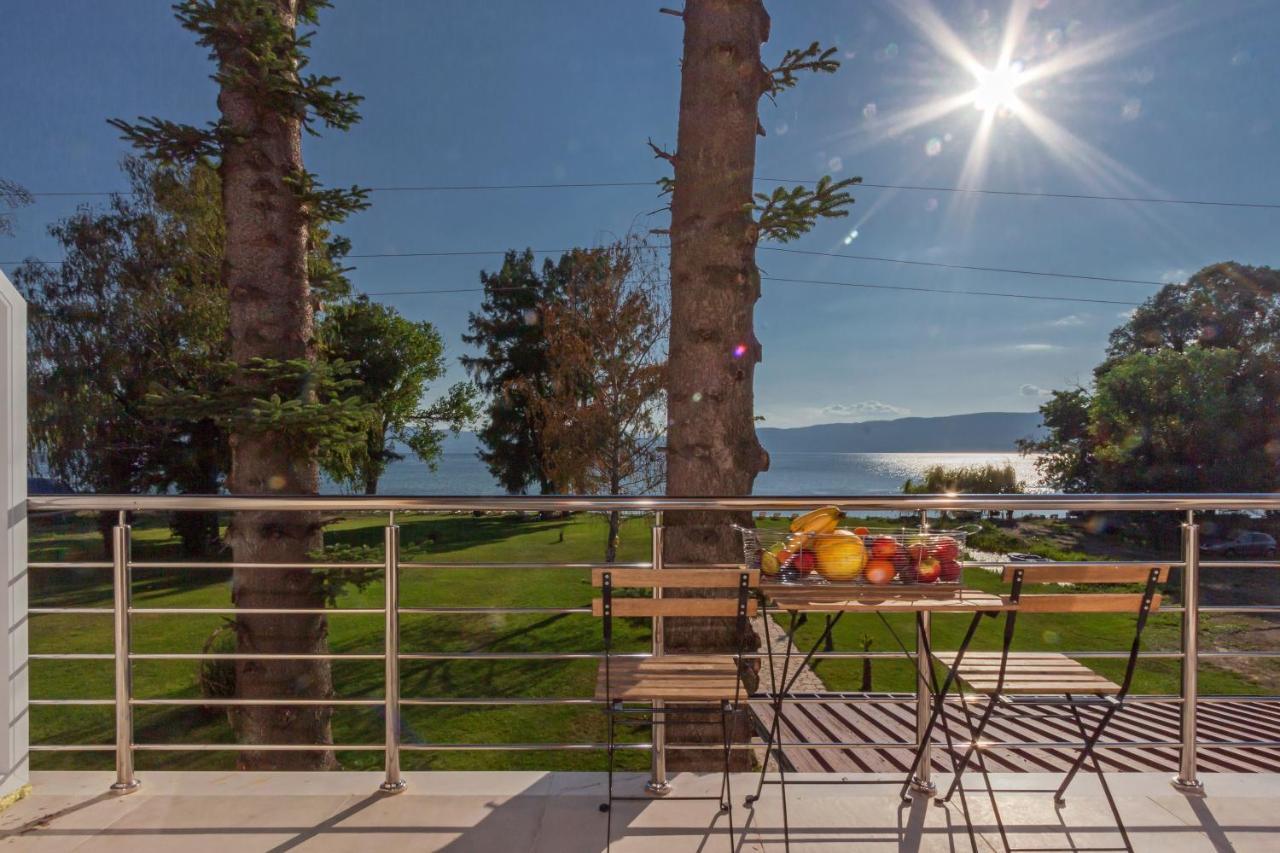 Green Space Hotel Ohrid Buitenkant foto